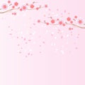 Branches of Sakura and petals flying isolated on light pink background. Apple-tree flowers. Cherry blossom. Vector EPS 10, cmyk Royalty Free Stock Photo