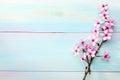 Branches of Sakura on wooden table. Toned image