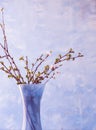 Branches with scattered buds and with the first flowers of fruit trees in a vase. Awakening of spring. Royalty Free Stock Photo
