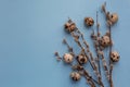 Branches of spring flowering willow and quail eggs on a blue background. Easter.