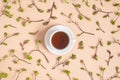 Branches with spring tree buds, young leaves and cup of tea on beige background. Spring concept. Top view Flat lay Royalty Free Stock Photo