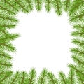 Branches of spruce in the form of a square frame with a green luxuriant spruce or pine branch. Royalty Free Stock Photo