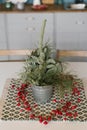 Branches of spruce or pine in a metal decorative bucket on the kitchen table, decorated for Christmas and new year, around the vas Royalty Free Stock Photo