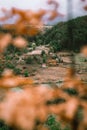 Small hut in the distance shot from natural frame. Royalty Free Stock Photo