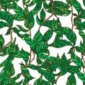 branches with striped leaves vector seamless pattern. A hedge of twigs on a white background. Leaves with stripes and holes on