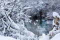 Branches and tree covered with big snow and river