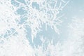 Branches of trees in frost against blue sky in winter. Royalty Free Stock Photo