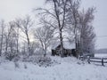 Branches trees heavy snow winter sunrise bright sky behind trees cottage small house cabin