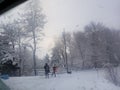 Branches trees heavy snow winter sunrise bright sky behind trees pair walking to school red backpack