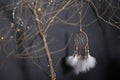 Among branches of trees with yellow sparks there is Dreamcatcher Royalty Free Stock Photo