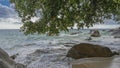 The branches of tropical trees bent over the beach. Royalty Free Stock Photo