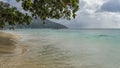 The branches of tropical trees bent over the beach. Royalty Free Stock Photo