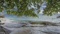 Branches of tropical trees hang over the beach. Royalty Free Stock Photo