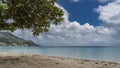 Branches of tropical trees hang over the sandy beach Royalty Free Stock Photo