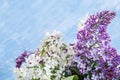 Branches of violet lilac flowers on blue sky background. Natural floral fon or postcard. Spring concept.