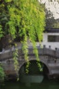 Weeping willow tree and chinese bridge Royalty Free Stock Photo