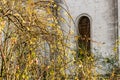 Branches on window of Italian XVII Century church Royalty Free Stock Photo