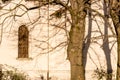 Branches on window of Italian XVII Century church Royalty Free Stock Photo