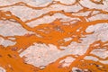 Branching orange riverbed closeup