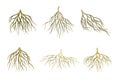 Branching Root as Tree Part Below the Surface of Soil Vector Set