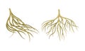 Branching Root as Tree Part Below the Surface of Soil Vector Set
