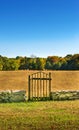 Branchwood Gate in Low Stone Wall