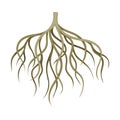 Branchy root of a tree or bush. Botany or dendrology design element vector illustration