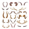 Branchy and sharp horns of wild animals set