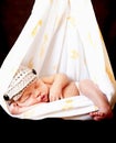 Perfect newborn hangs cradled in swaddling cloth.