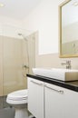 Brand New Bathroom Royalty Free Stock Photo