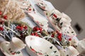 Brand new hollyday dishes