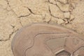 Brand new suede and nylon beige tan camo military tactical desert combat boot, arid dried soil sand detailed horizontal background Royalty Free Stock Photo