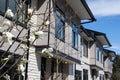 Brand new upscale townhomes in a Canadian neighbourhood. External facade of a row of colorful modern urban townhouses.brand new ho Royalty Free Stock Photo