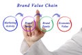 Brand Value Chain Royalty Free Stock Photo