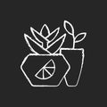 Branded plant pot chalk white icon on black background Royalty Free Stock Photo