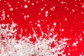 Christmas, New Years red floral background, holiday card design, flower tree and snow glitter as winter season sale promotion Royalty Free Stock Photo