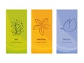 Branding Packaging -spa - beauty - holistic - whit flower and butterfly on orange violet ang green background