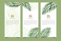 Branding Packaging tropical plant leaf summer pattern background, for spa resort luxury hotel, logo banner voucher, fabric
