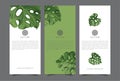Branding Packaging tropical plant leaf summer pattern background, for spa resort luxury hotel, logo banner voucher, fabric