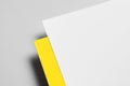 Branding / Stationery Mock-Up - Yellow & White.