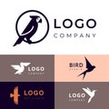 Branding for travel, zooshop or other company