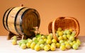 Brandy and plums with a barell Royalty Free Stock Photo