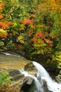 Brandywine Water Falls Royalty Free Stock Photo