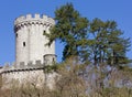 Branik Castle Royalty Free Stock Photo