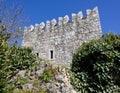 Branik Castle Royalty Free Stock Photo