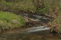 Branna river in spring cloudy evening with fresh green grass Royalty Free Stock Photo