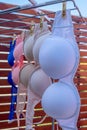 Bras are drying