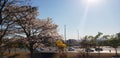 Brasilia in winter, capital of Brazil