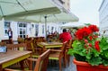 A red geranium decorating a restaurant terrace on an early summer afternoon.