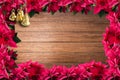 Brass bells and red christmas poinsettia flower frame Royalty Free Stock Photo